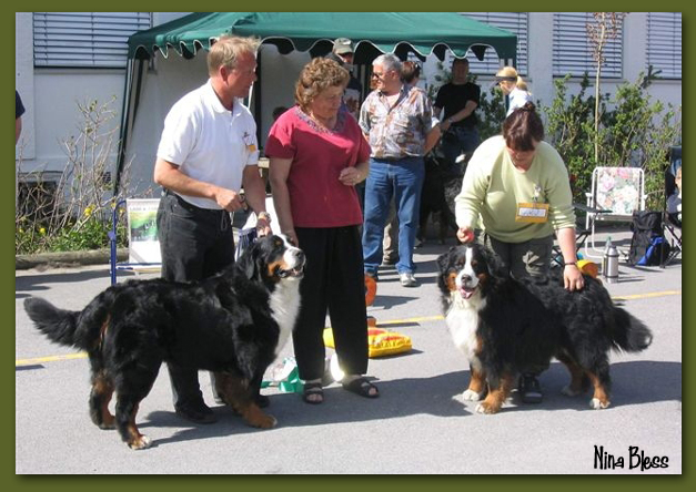 Indian Hills Showtime V Keilissa og Miriam. Dommer Sonja Gorbould, Geilo 2001.